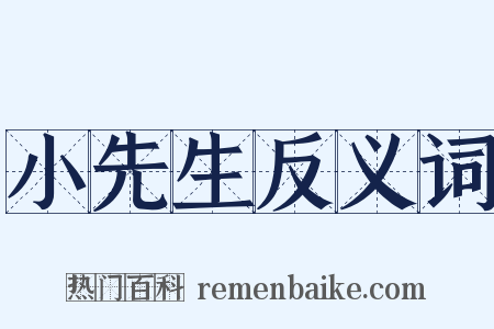 小先生反义词是什么意思的图片